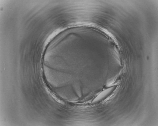 X0000059841373200511181502