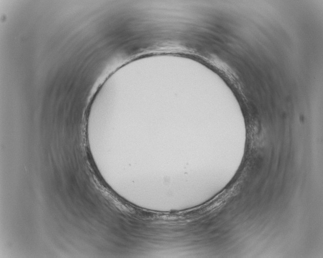 X0000059841374200511181502