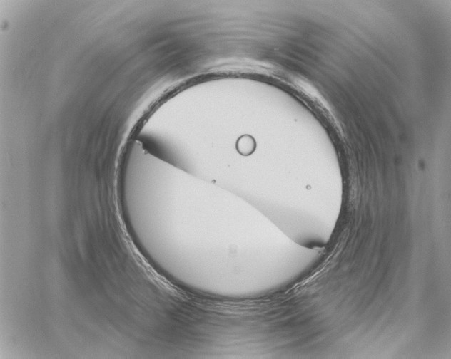 X0000059841376200511181502