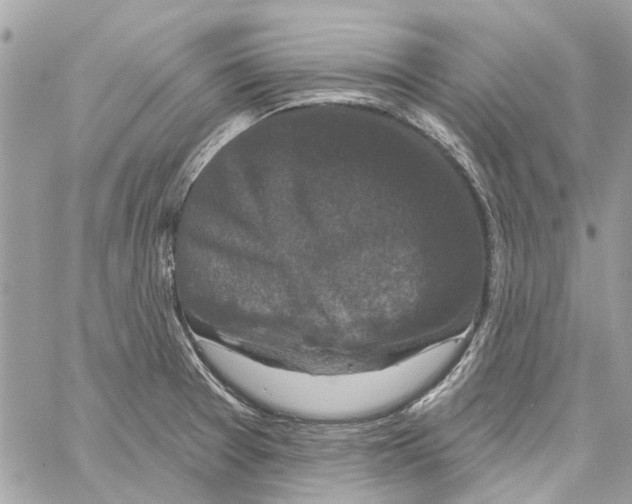 X0000059841377200511181502