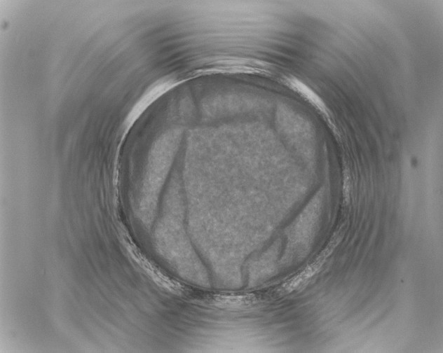 X0000059841378200511181502