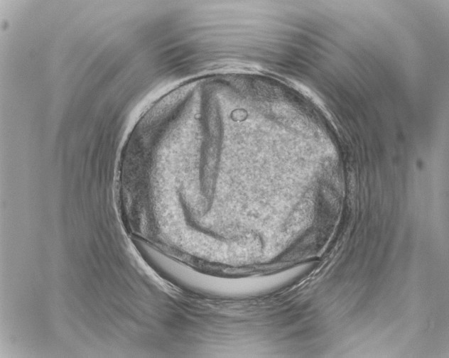 X0000059841379200511181502