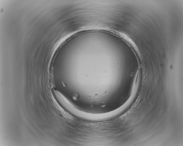 X0000059841380200511181502