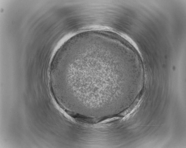 X0000059841381200511181502