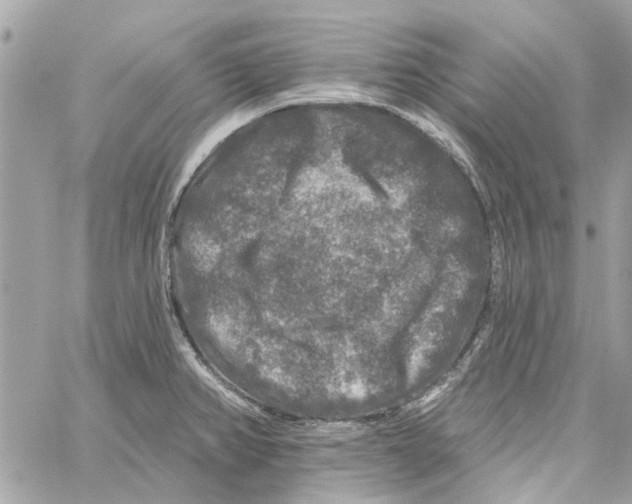 X0000059841382200511181502