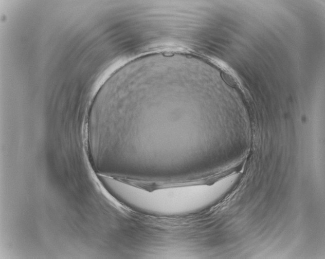 X0000059841383200511181502