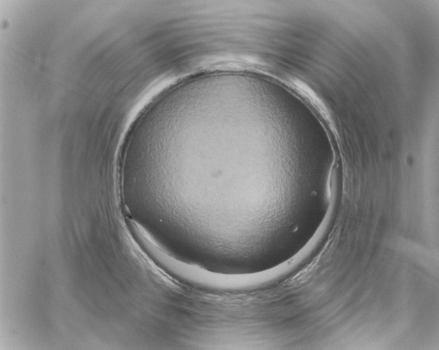 X0000059841384200511181502