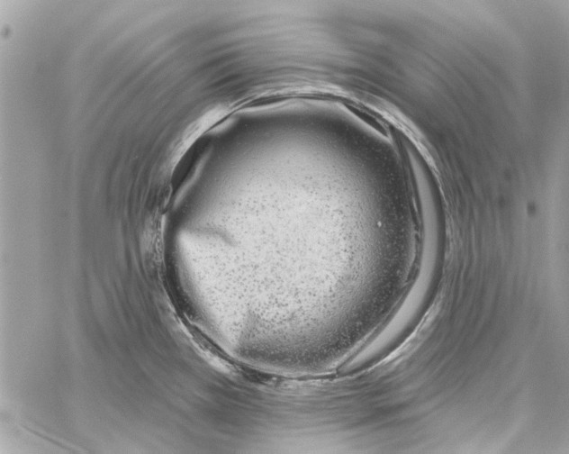 X0000059841385200511181502