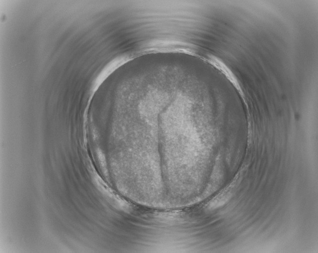 X0000059841386200511181502