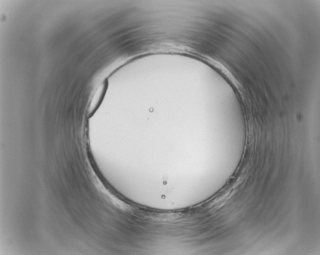 X0000059841387200511181502