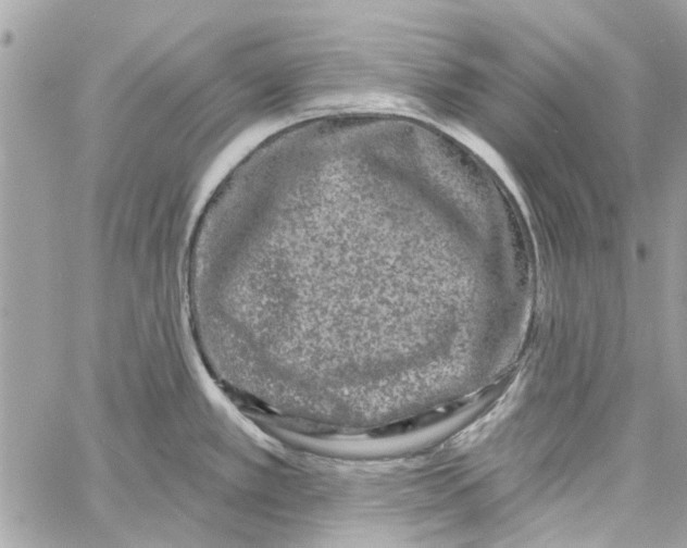 X0000059841389200511181502