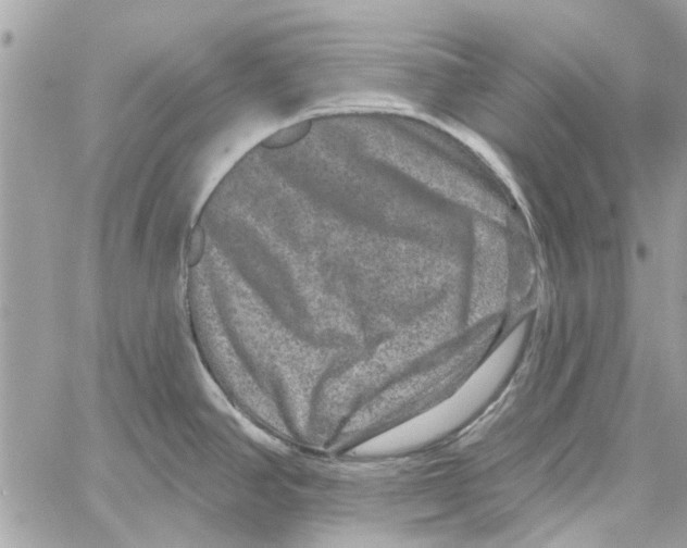 X0000059841390200511181502