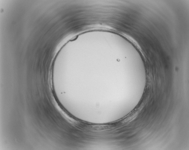 X0000059841391200511181502