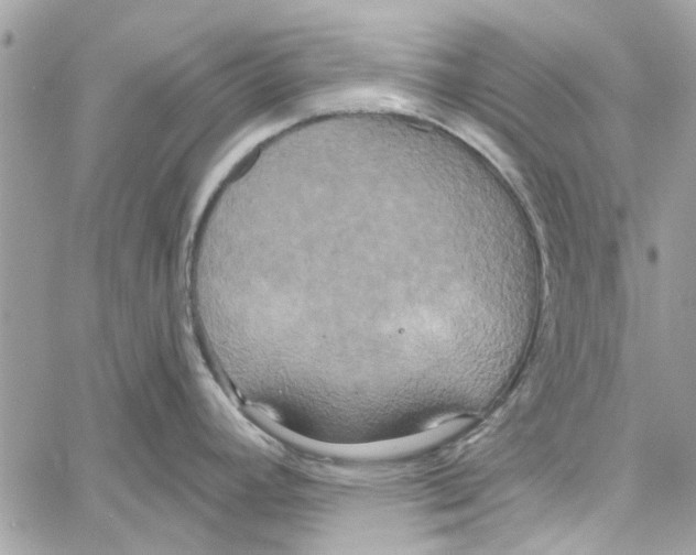 X0000059841392200511181502