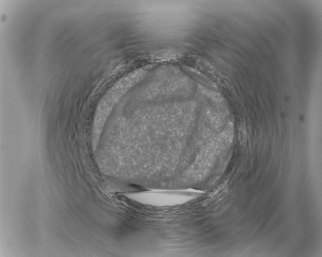 X0000059841393200511181501