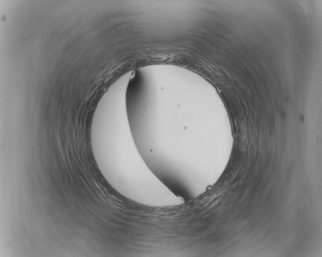 X0000059841394200511181501