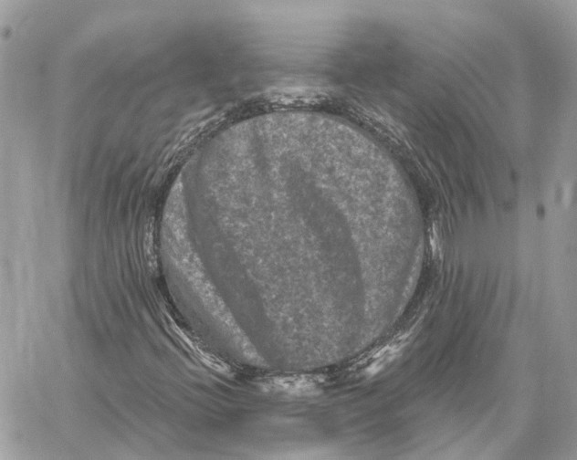 X0000059841396200511181501