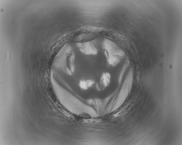 X0000059841397200511181501