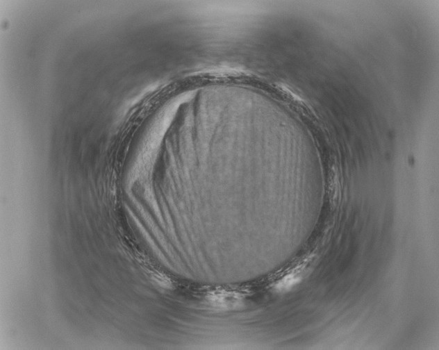 X0000059841398200511181501