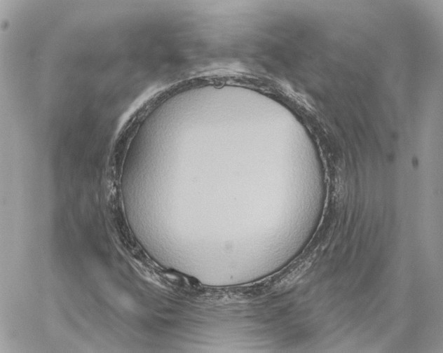 X0000059841400200511181501