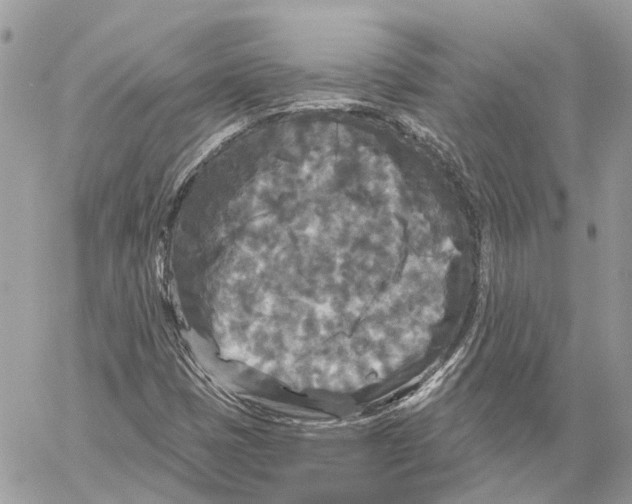 X0000059841401200511181501