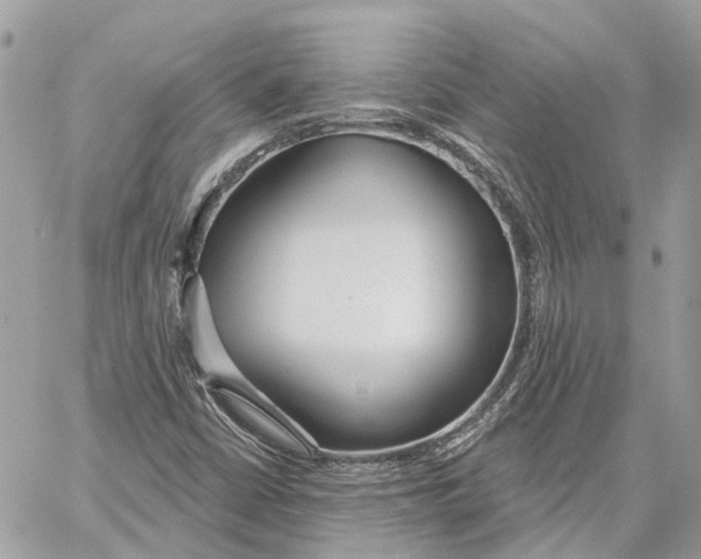 X0000059841402200511181501