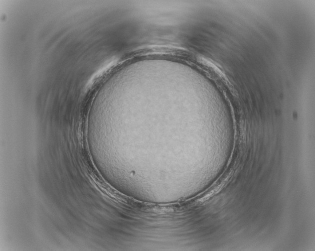 X0000059841403200511181501