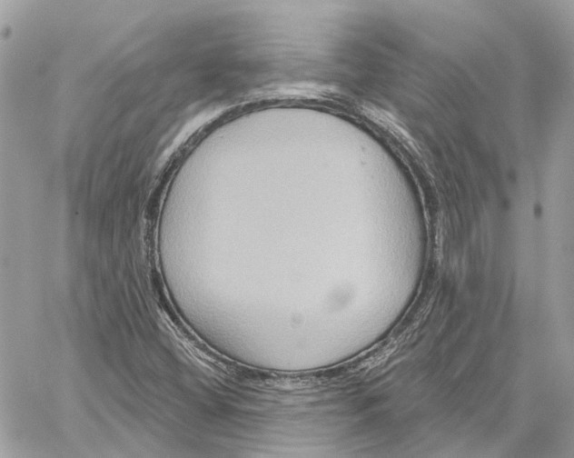 X0000059841404200511181501