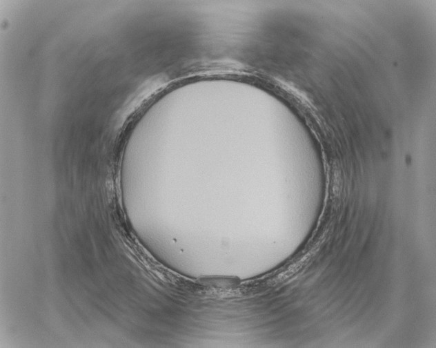 X0000059841407200511181501