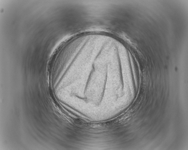 X0000059841408200511181501