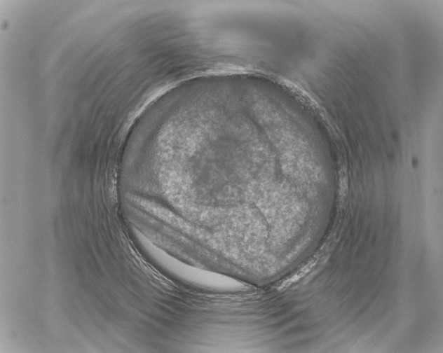 X0000059841409200511181501