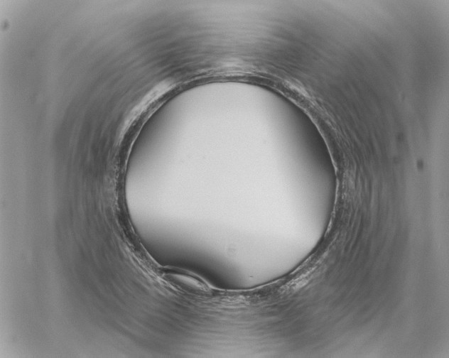 X0000059841410200511181501