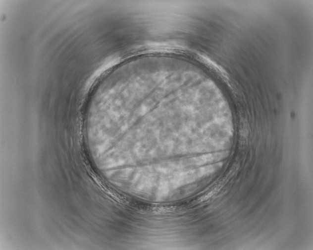 X0000059841411200511181501