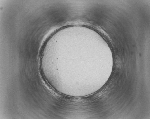 X0000059841416200511181501