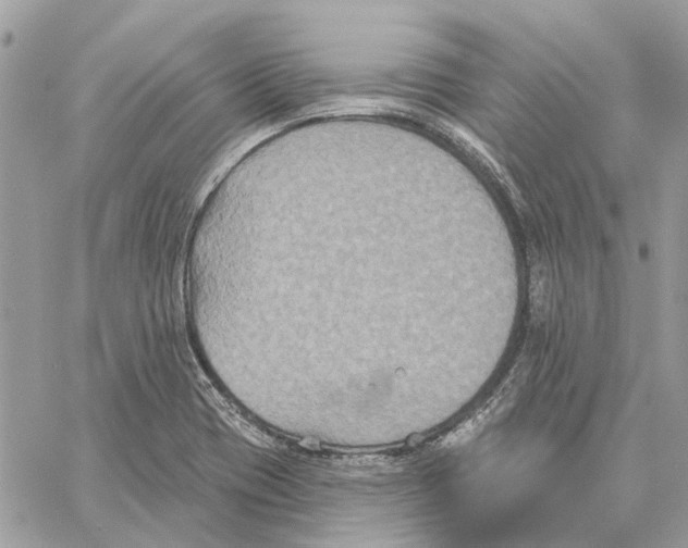 X0000059841417200511181501