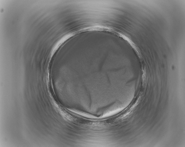 X0000059841418200511181501