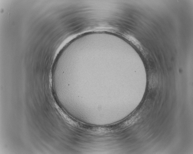 X0000059841420200511181501