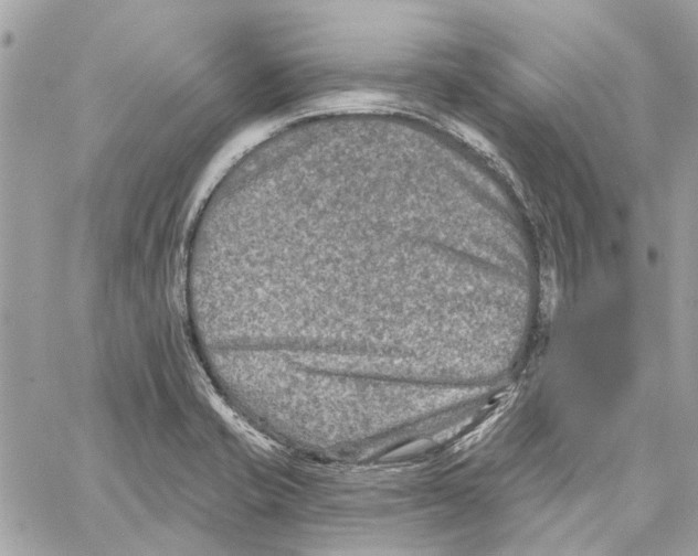 X0000059841421200511181501