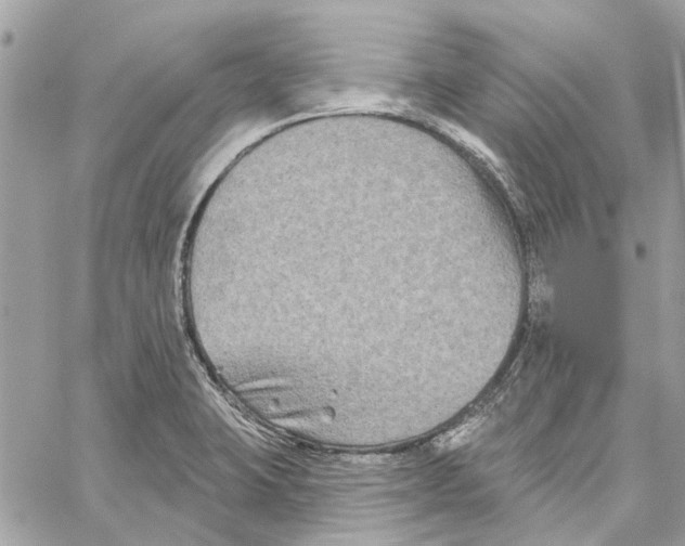 X0000059841423200511181502