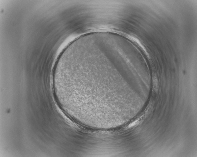 X0000059841424200511181502