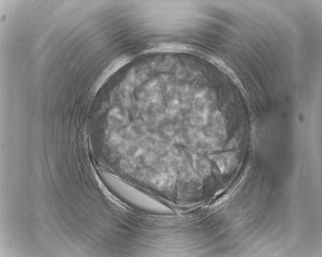 X0000059841425200511181502