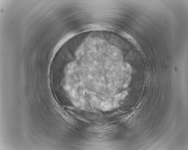 X0000059841427200511181502