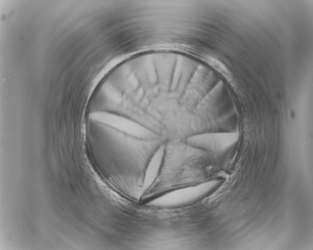 X0000059841428200511181502