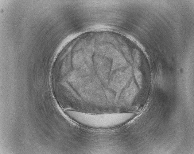 X0000059841429200511181502