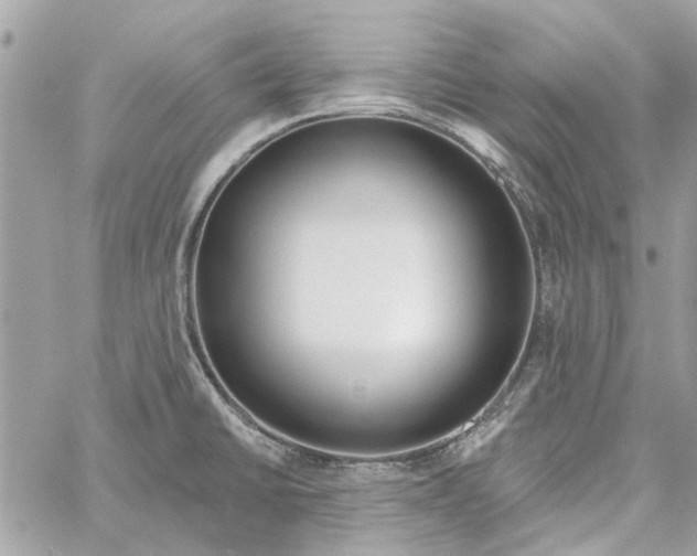 X0000059841430200511181502