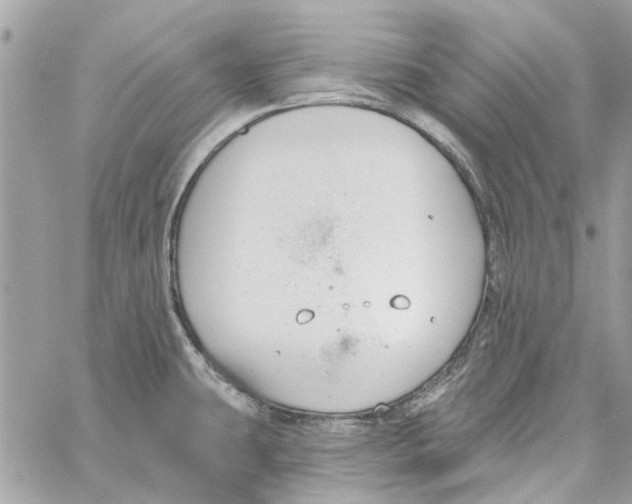 X0000059841431200511181502