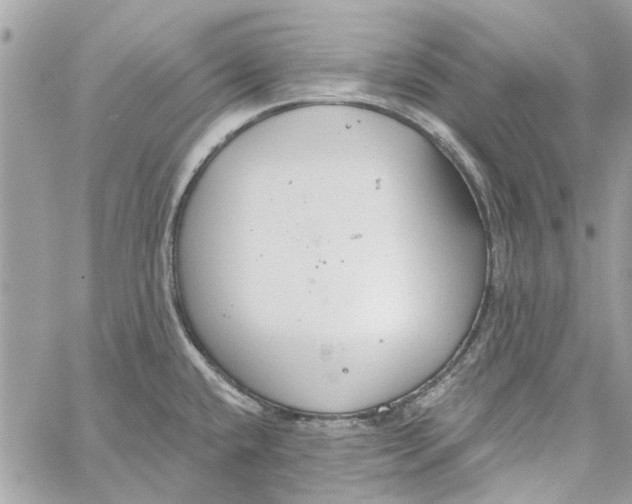 X0000059841432200511181502