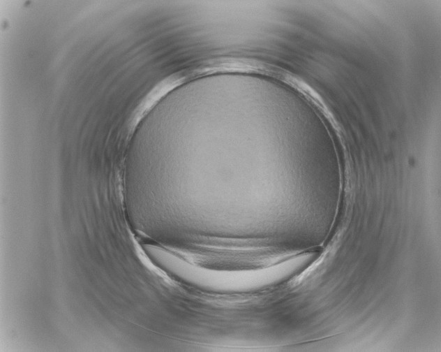 X0000059841433200511181502