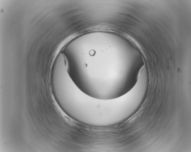 X0000059841434200511181502