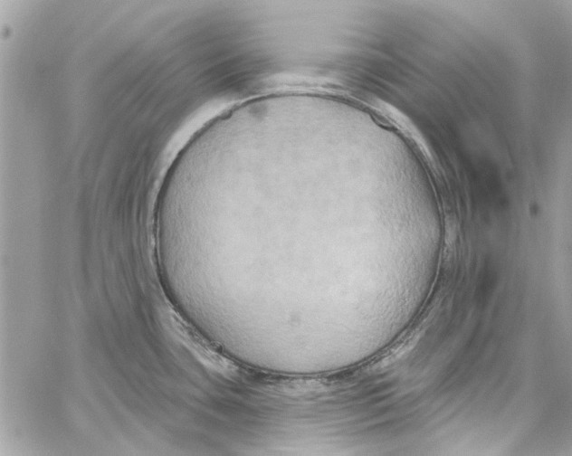 X0000059841435200511181502